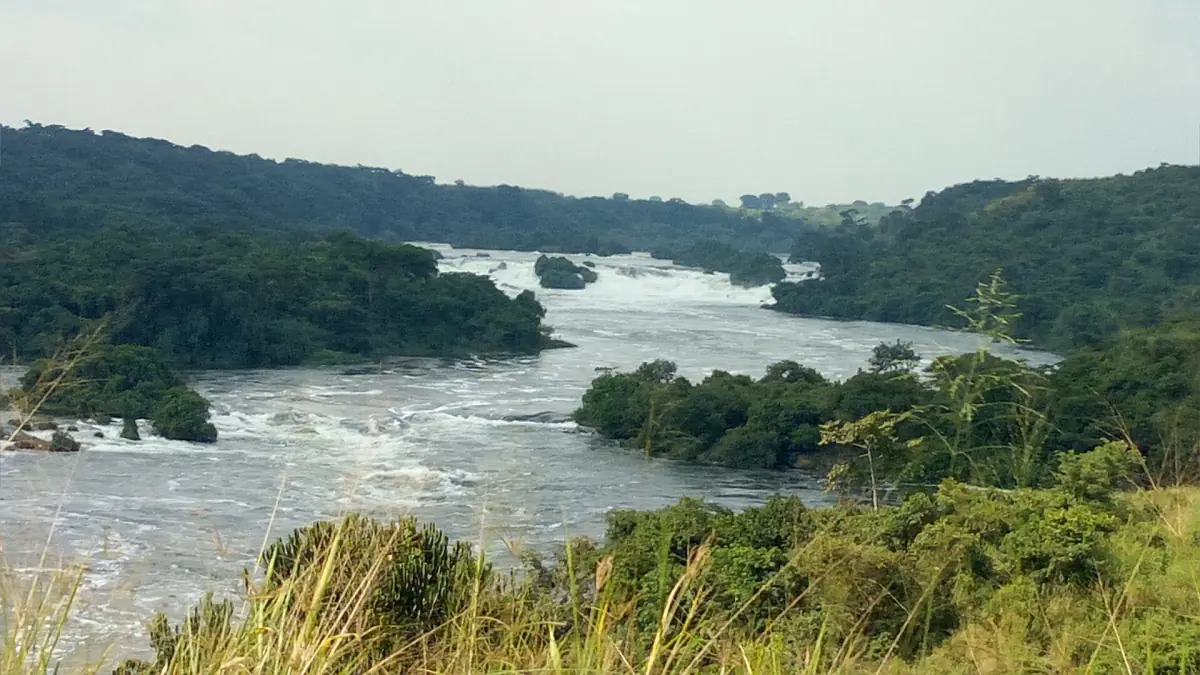 Der Nil mit Stromschnellen und bewaldeten Inseln bei Karuma